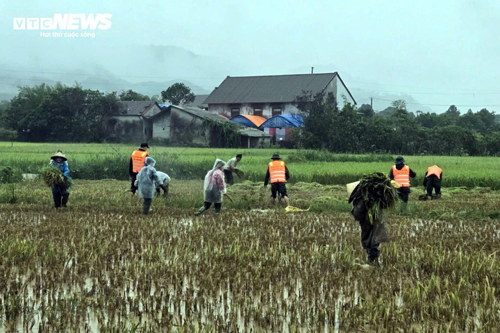 Do ảnh hưởng của bão số 10, TP Huế đang mưa rất to, lực lượng chức năng đang căng mình giúp dân triển khai các biện pháp phòng chống trước khi bão đổ bộ. (Ảnh: Võ Tiến).