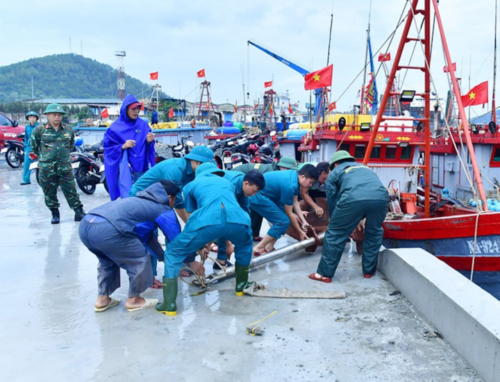 Lực lượng dân quân phường Cửa Lò (Nghệ An) xuống giúp dân neo đậu tàu thuyền tránh trú bão số 10. (Ảnh: Báo QĐND)