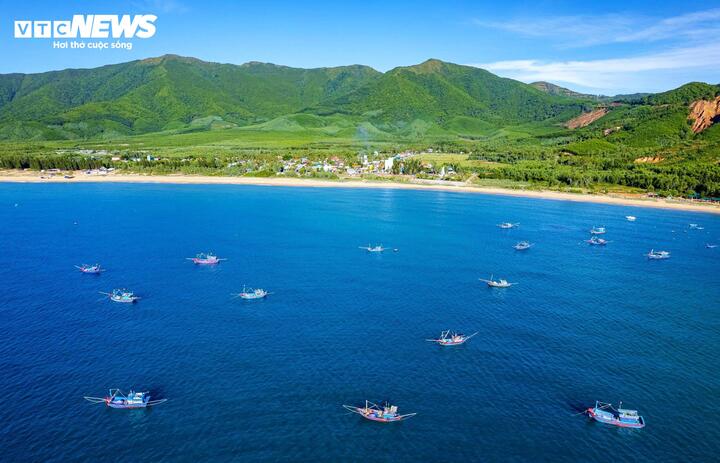 Hiện có 141 tàu cá của Gia Lai nằm trong vùng nguy hiểm của bão Bualoi. (Ảnh minh hoạ)