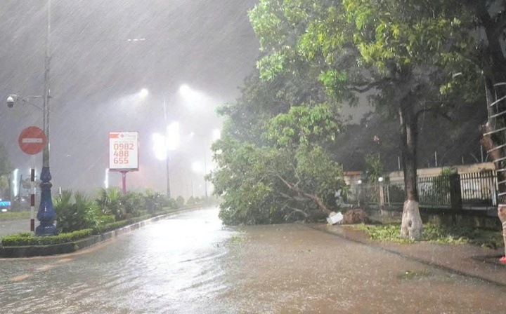 Sau đêm mệt nhoài chống bão, người dân Quảng Trị tiếp tục dậy sớm dọn dẹp nhà cửa. Các cơ quan công sở mở lại và mưa còn khá lớn.