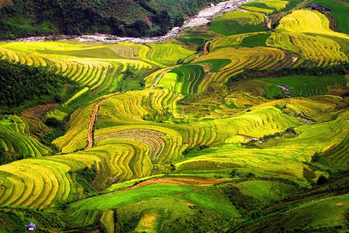 Tú Lệ làm đắm say biết bao du khách với vẻ đẹp hoang sơ của núi rừng. (Ảnh: Trang thông tin điện tử Tú Lệ)