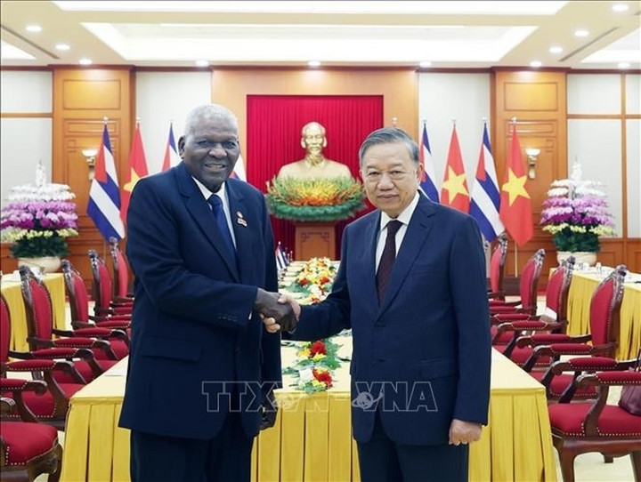 Tổng Bí thư Tô Lâm tiếp Chủ tịch Quốc hội, Chủ tịch Hội đồng Nhà nước Cuba. (Ảnh: TTXVN)