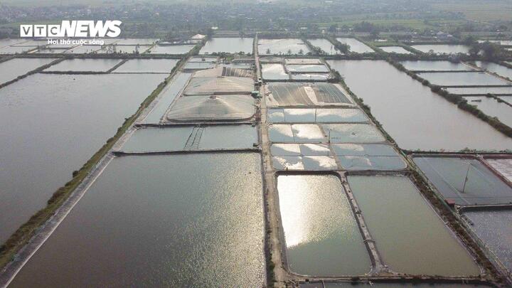 フンイエン省の沿岸部の一連のコミューンでは、近代的な産業養殖が実施されており、現在も実施されています。