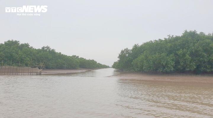 省は12,500ヘクタールの面積を有する天海湿地保護区を設立し、4,200ヘクタールを超える海岸林の管理・保護を行っています。
