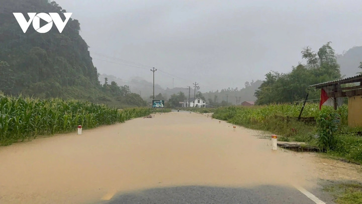 Để ứng phó với bão số 11, Chủ tịch UBND tỉnh Thái Nguyên Phạm Hoàng Sơn đã chỉ đạo các sở, ban, ngành và chính quyền địa phương tập trung cao độ, triển khai các biện pháp khẩn cấp để ứng phó, sơ tán khẩn cấp, đảm bảo hậu cần "bốn tại chỗ". Yêu cầu Chủ tịch UBND các xã, phường phải nghiêm túc trực ban, theo dõi chặt chẽ bản tin cảnh báo để thông tin kịp thời đến nhân dân; rà soát kỹ, bố trí lực lượng canh gác tại các khu vực có nguy cơ sạt lở đất, lũ ống, lũ quét, ngập sâu (đặc biệt khu vực ven sông). Chủ động sơ tán, di dời ngay người dân ra khỏi khu vực nguy hiểm. Tuyệt đối không để người dân tự ý quay lại khi chưa bảo đảm an toàn, và kiên quyết không để người dân đi qua các ngầm, tràn, hoặc vớt củi trên sông nguy cơ bị lũ cuốn.