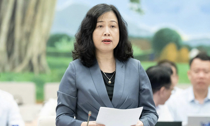 Bộ trưởng Y tế Đào Hồng Lan.