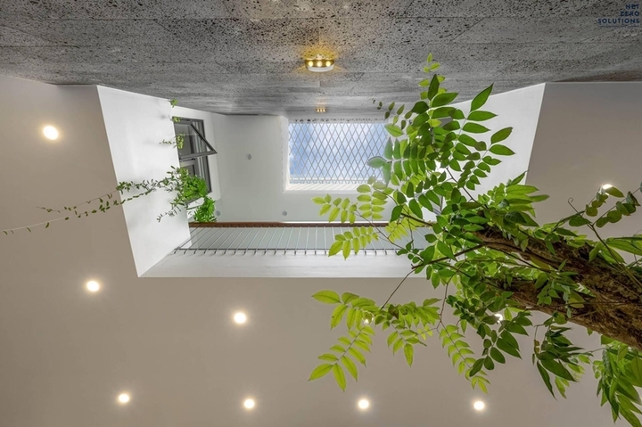 Giếng trời giúp lấy sáng và thông gió cho nhà ống. (Ảnh: Net Zero Solutions)