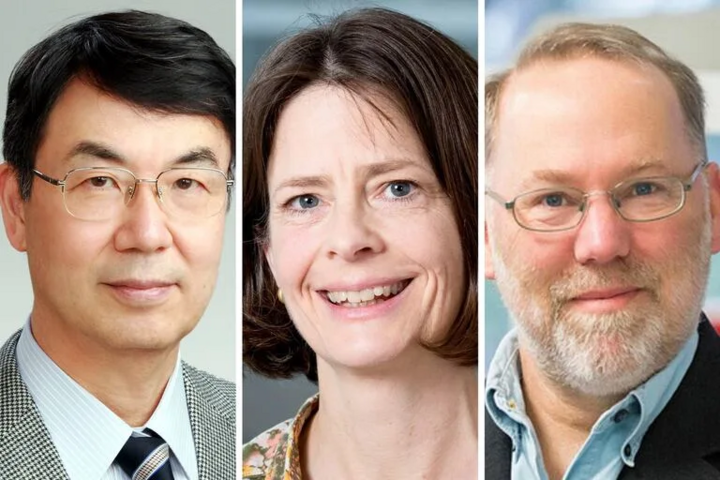 Shimon Sakaguchi, Mary E. Brunkow và Fred Ramsdell giành giải Nobel Y học. (Nguồn: Yahoo)