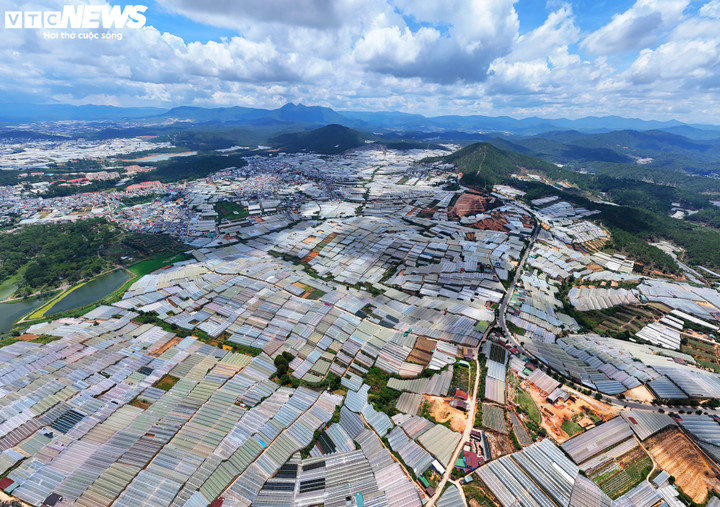 Nông nghiệp công nghệ cao vẫn là thế mạnh của Lâm Đồng trong bản đồ xuất khẩu của Việt Nam.