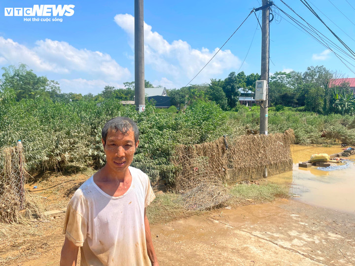 Ông Phú chết lặng, đôi mắt khô khốc nhìn ruộng đào chỉ còn trơ trụi, xác xơ.