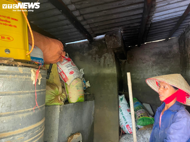 Hàng tạ thóc vừa thu hoạch buổi chiều được kê cao, nhưng đêm đến nước lũ dâng làm hỏng hết.