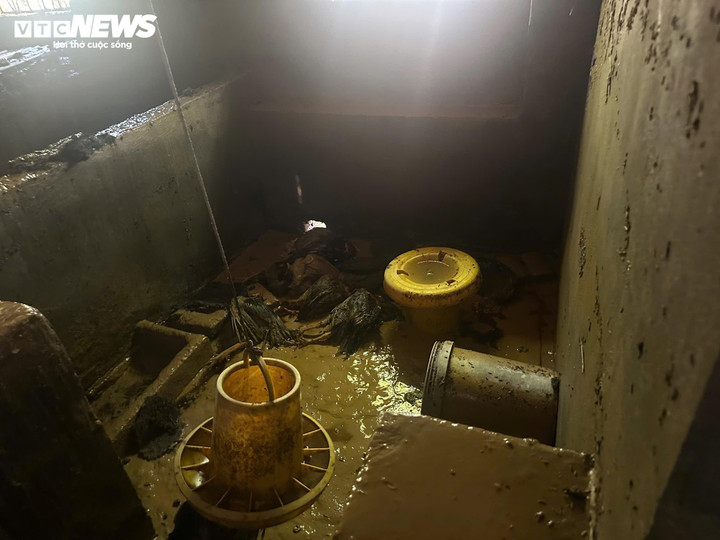 Đàn gà nhà chị Huyền sạch chỉ sau một đêm lũ.