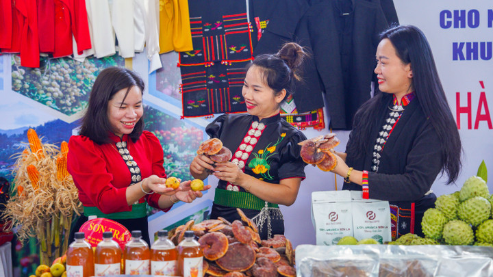 Sắc màu nông sản Tây Bắc tại Hội chợ xúc tiến thương mại Sơn La 2025 - 2