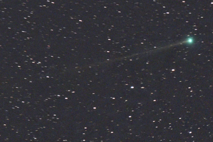 Auf diesem Bild, das am 6. Oktober vom Virtual Telescope Project aufgenommen wurde, ist der Komet SWAN zu sehen. (Bildnachweis: Gianluca Masi)
