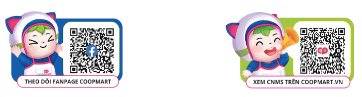 Kết nối Huế - TP.HCM: Cơ hội vàng cho hàng Việt trên thị trường bán lẻ - 7