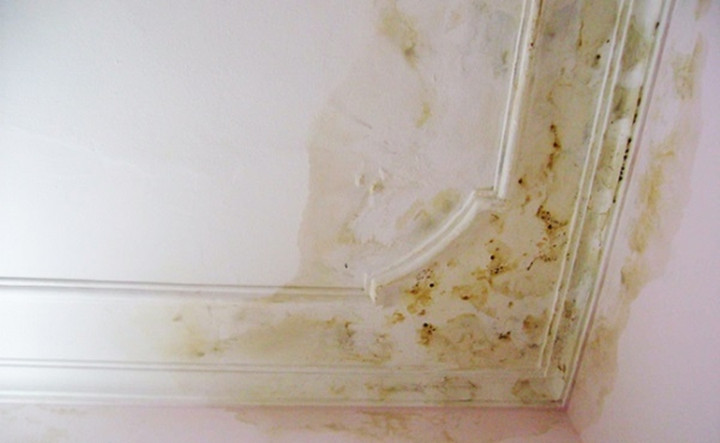 (Ảnh: Phương Nam Cons)