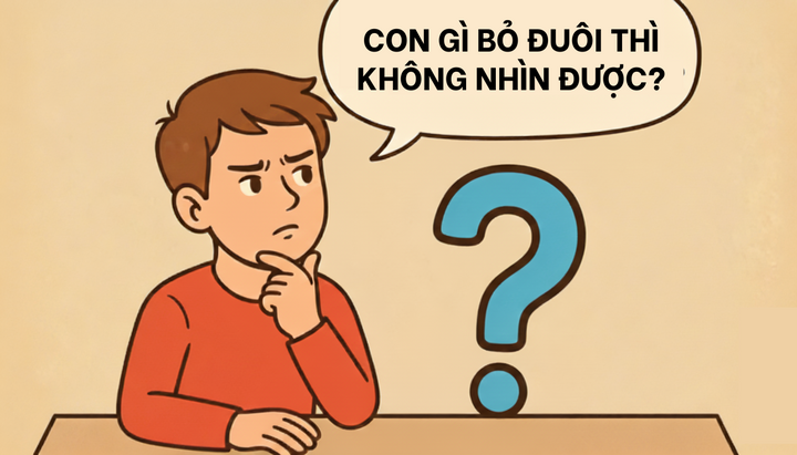 Con gì bỏ đuôi thì không nhìn được? - 1