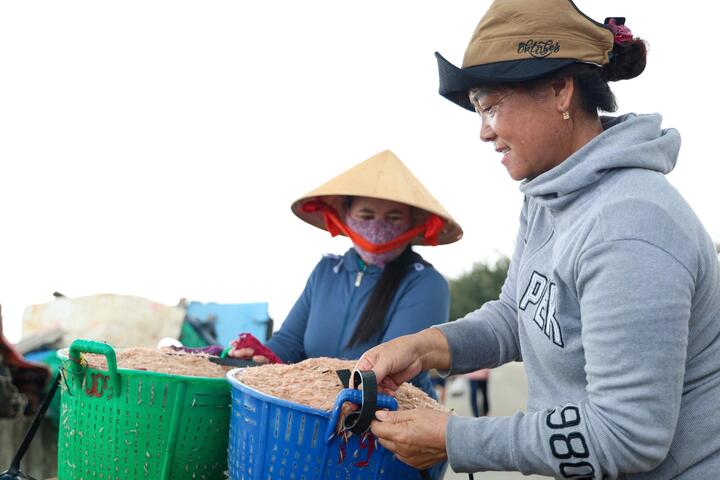 Trung bình từ 3 đến 4kg ruốc tươi cho ra 1kg ruốc khô. Ngay tại bến, thương lái thu mua ruốc tươi với giá dao động từ 15.000 đến 20.000 đồng/kg, còn ruốc khô khoảng 80.000 đồng/kg.