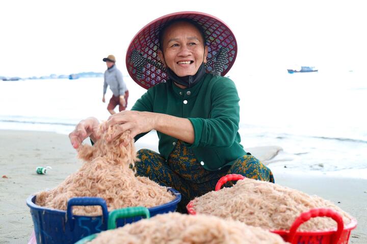 Ông Phạm Quốc Vương, Chủ tịch UBND xã Tịnh Khê, cho biết hiện ngư dân địa phương đang bước vào vụ ruốc với sản lượng dồi dào. Ruốc được thương lái thu mua ngay khi tàu vào bờ với giá cao nên ngư dân ai cũng phấn khởi.