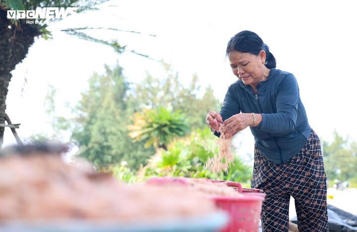 "Chúng tôi chỉ mong trời yên, biển lặng để kịp thu hoạch hết vụ, có thêm thu nhập trang trải cuộc sống. Ruốc nhiều mà biển động thì cũng coi như mất mùa”, bà Nguyễn Thị Đón, trú thôn Kỳ Xuyên, bày tỏ.