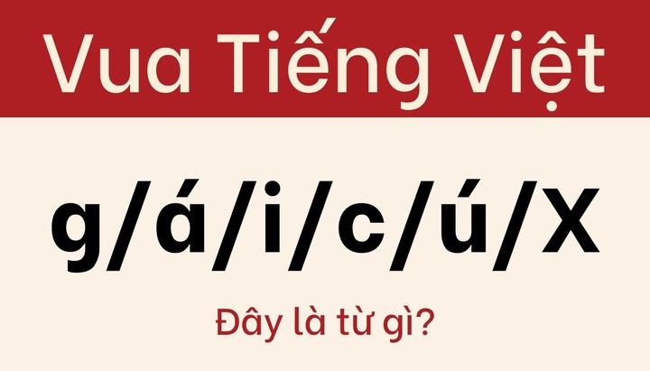 ¿Cuál crees que es la respuesta correcta?