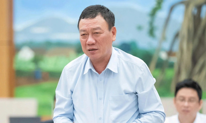 Tổng Thanh tra Chính phủ Đoàn Hồng Phong.