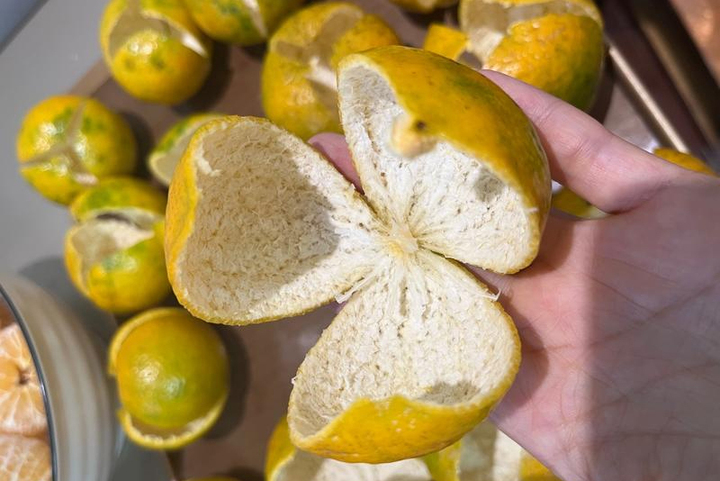 Sử dụng cam quýt có vỏ dày để có nhiều tinh dầu. (Ảnh: Xiachufang)