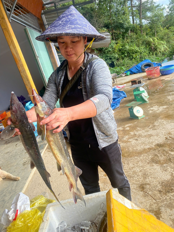 Tổng thiệt hại ước tính khoảng 7,7 tỷ đồng.