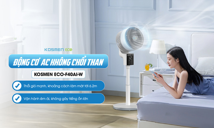 Động cơ AC không chổi than.