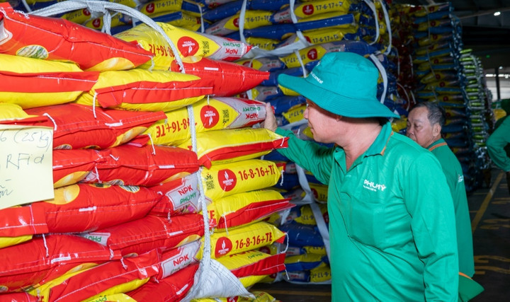 Nhà nông tìm hiểu phân bón NPK Phú Mỹ.