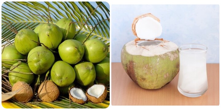 Uống nước dừa tươi đúng cách rất tốt cho sức khoẻ