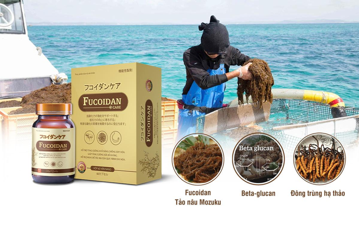Fucoidan Care - sản phẩm hỗ trợ tăng cường miễn dịch chống oxy hóa - 2