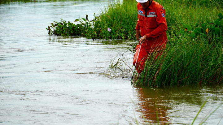 Tổng công ty Điện lực miền Bắc: 56 năm một chặng đường đầy tự hào - 6