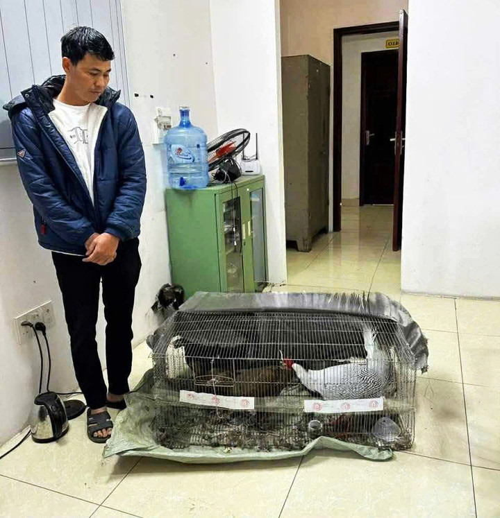 Anh Thái Khắc Thành cùng số gà lôi trắng tại thời điểm bị bắt giữ tháng 4/2025.