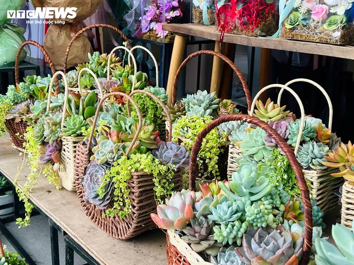 Sen đá, hoa khô được trưng bày ngày càng nhiều, phục vụ xu hướng quà tặng tiết kiệm, để được lâu.