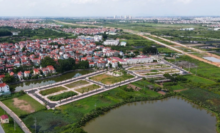 Đề xuất người bỏ cọc bị cấm đấu giá đất đến 5 năm