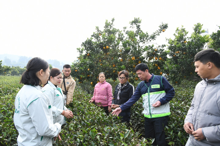 Trong tiến trình phát triển nông nghiệp bền vững, vai trò khuyến nông ngày càng được khẳng định.