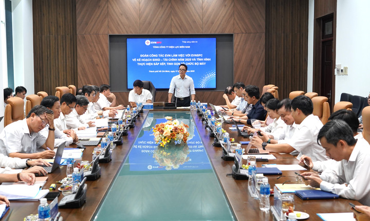 Ông Cao Quang Quỳnh – Thành viên HĐTV EVN - phát biểu tại buổi làm việc.