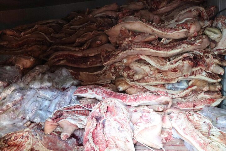 Gần 38 tấn thịt lợn nhiễm bệnh được Phan Văn Phòng mua hoặc xin rồi trữ đông để bán ra thị trường. (Ảnh: Công an tỉnh Phú Thọ)