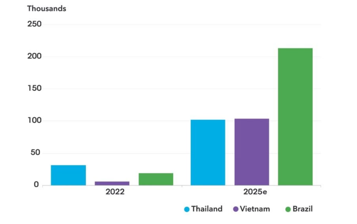 Doanh số bán xe điện tại một số thị trường mới nổi. (Nguồn: BloombergNEF)
