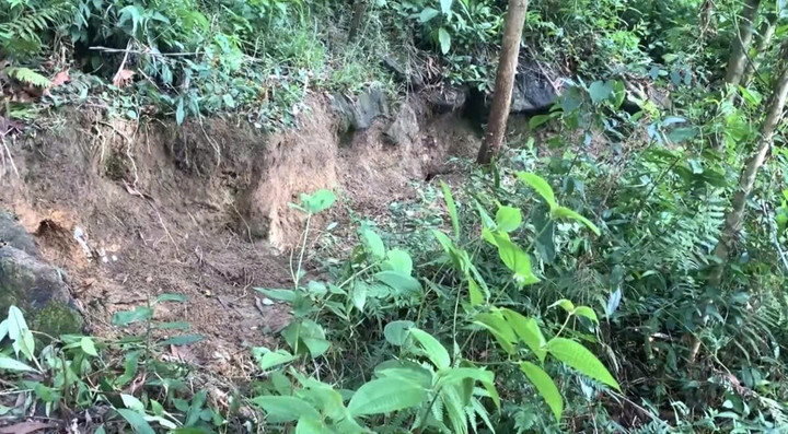 Vết nứt trên núi Gò Oát có chiều hướng mở rộng, nguy cơ sạt lở núi rất cao.