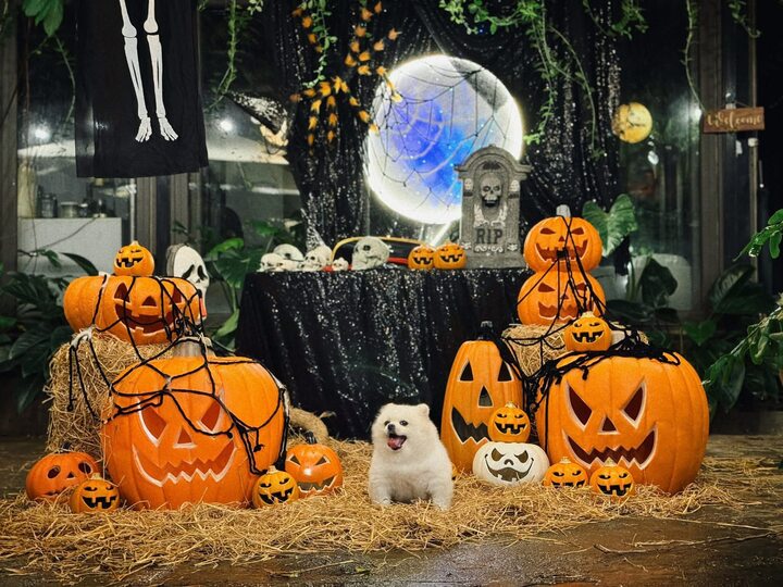 Nhiều quán cà phê ở Hà Nội trang trí không gian Halloween độc đáo.