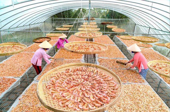 Sản phẩm tôm chế biến sâu cũng được chuẩn bị kỹ lưỡng trước khi mang đến Hội chợ mùa Thu 2025.