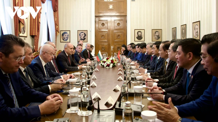 Hai nhà lãnh đạo dẫn đầu đoàn đại biểu cấp cao hai nước hội đàm.