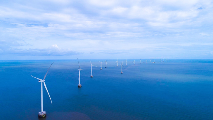 18 trụ tuabin gió của Nhà máy điện gió Tân Thuận 75MW. (Ảnh: PECC2)