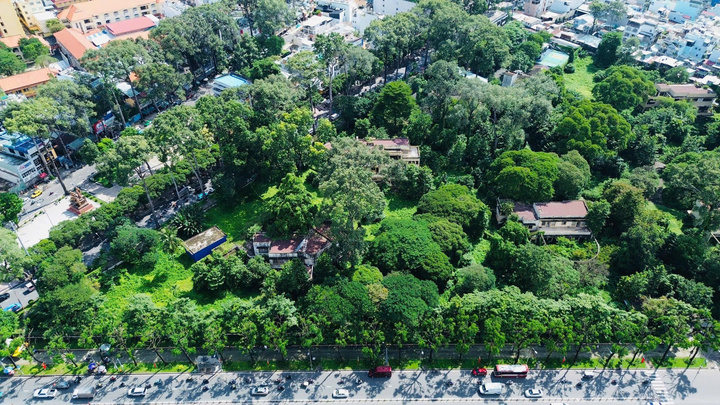 Bên trong khu đất hiện có nhiều biệt thự cổ với diện tích sàn khoảng 7.000m2.