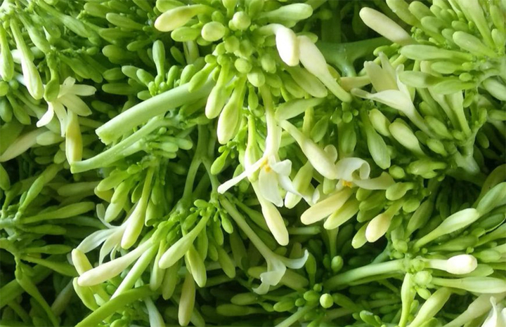 Hoa đu đủ đực.