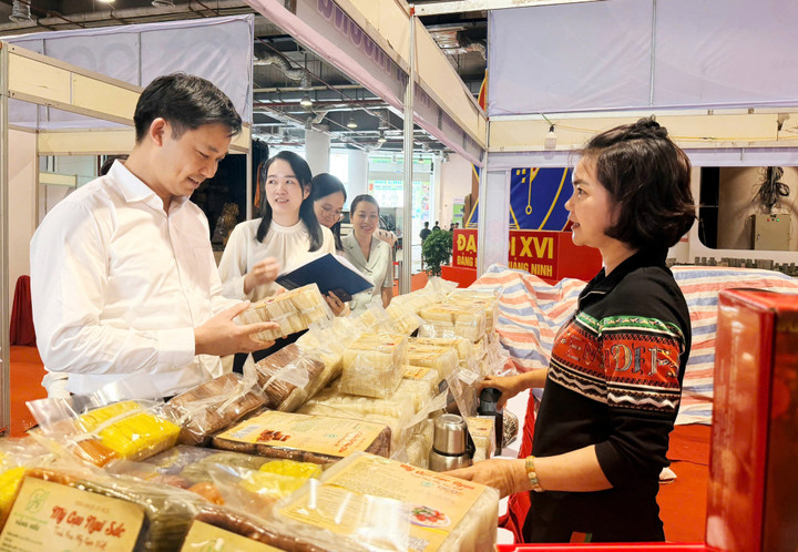 Hội chợ OCOP Quảng Ninh - Thu Đông 2025 thu hút sự tham gia của 160 gian trong và ngoài tỉnh.