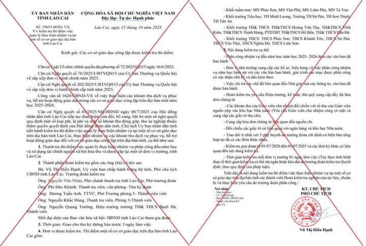 Văn bản mà bị can Trần Đình Duy làm giả mạo. (Ảnh: CACC)