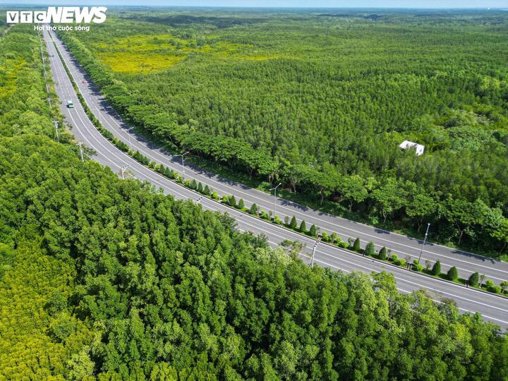 Conform planului anterior, linia de metrou care lega Can Gio de centrul orașului Ho Și Min avea o lungime de aproximativ 48,5 km, de la Tan Thuan până la centrul comunei Can Gio, mergând de-a lungul străzii Rung Sac. (Foto: Luong Y)